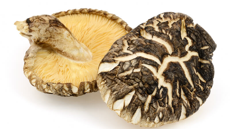 干しシイタケ 種類と歴史編