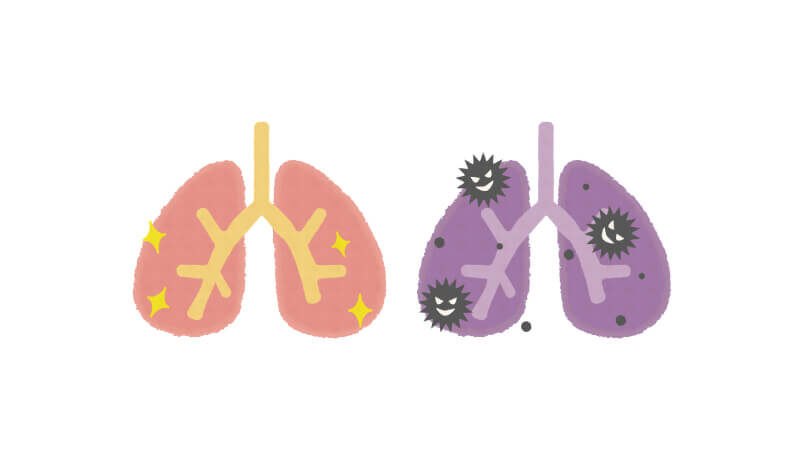 肺-対策-